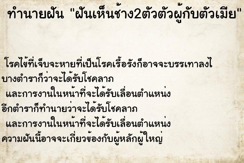 ทำนายฝัน ฝันเห็นช้าง2ตัวตัวผู้กับตัวเมีย