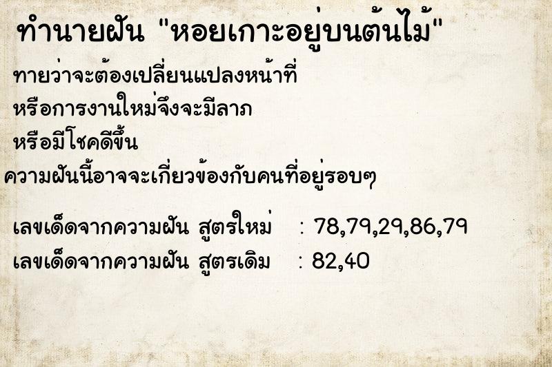 ทำนายฝัน หอยเกาะอยู่บนต้นไม้