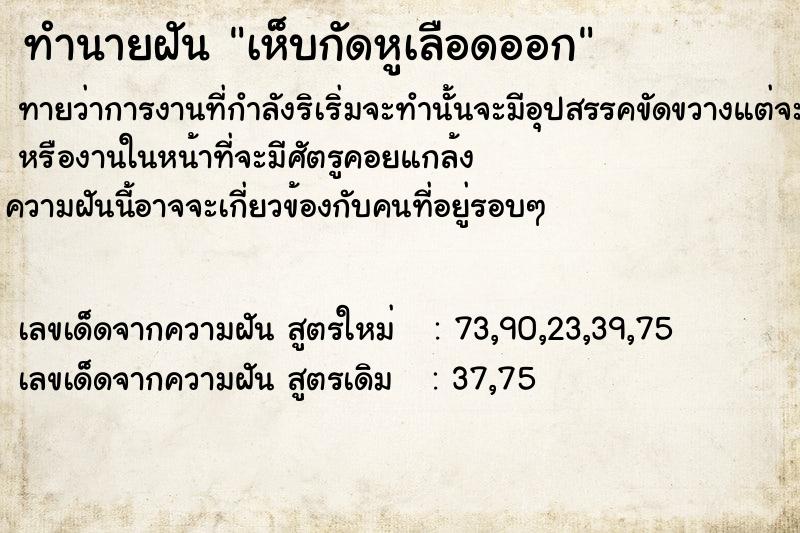 ทำนายฝัน เห็บกัดหูเลือดออก