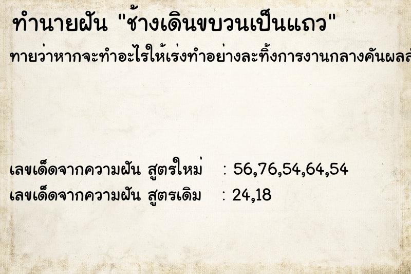 ทำนายฝัน ช้างเดินขบวนเป็นแถว  เลขนำโชค 