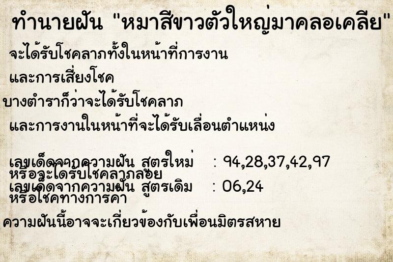 ทำนายฝัน หมาสีขาวตัวใหญ่มาคลอเคลีย