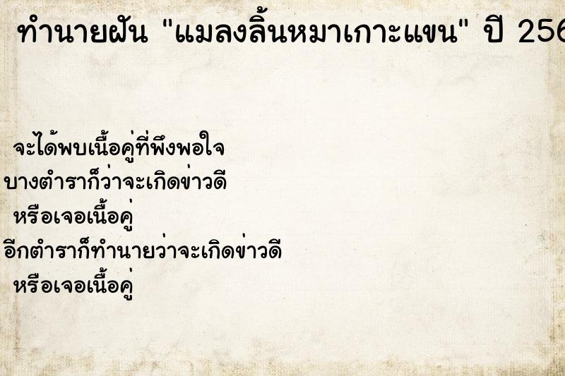 ทำนายฝัน แมลงลิ้นหมาเกาะแขน