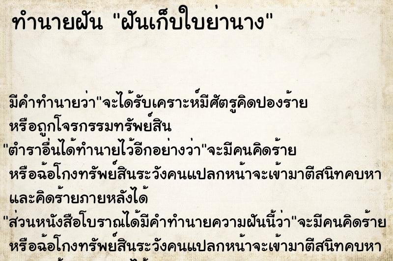 ทำนายฝัน ฝันเก็บใบย่านาง  เลขนำโชค 