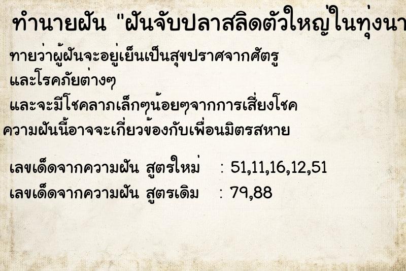 ทำนายฝัน ฝันจับปลาสลิดตัวใหญ่ในทุ่งนาหลายตัว