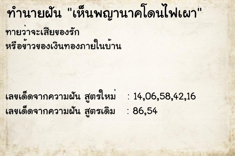 ทำนายฝัน เห็นพญานาคโดนไฟเผา