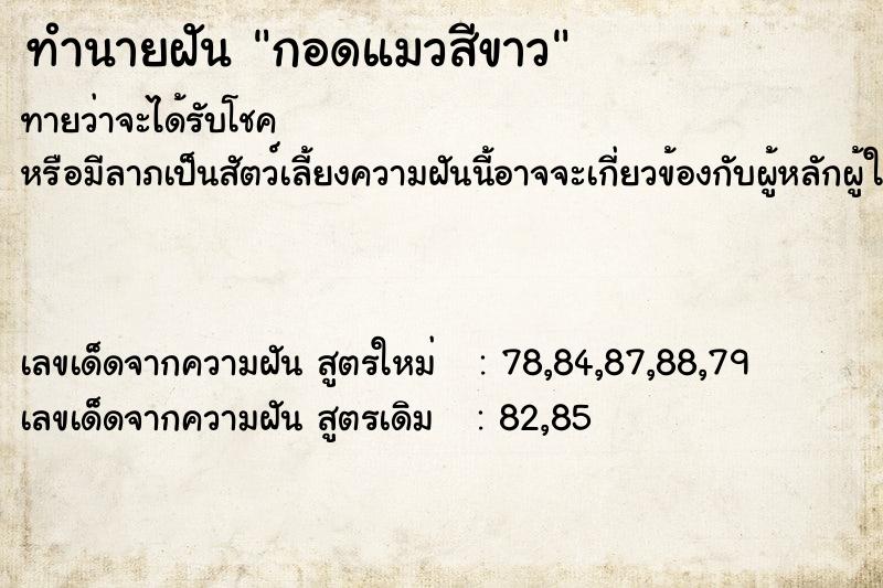 ทำนายฝัน กอดแมวสีขาว  เลขนำโชค 