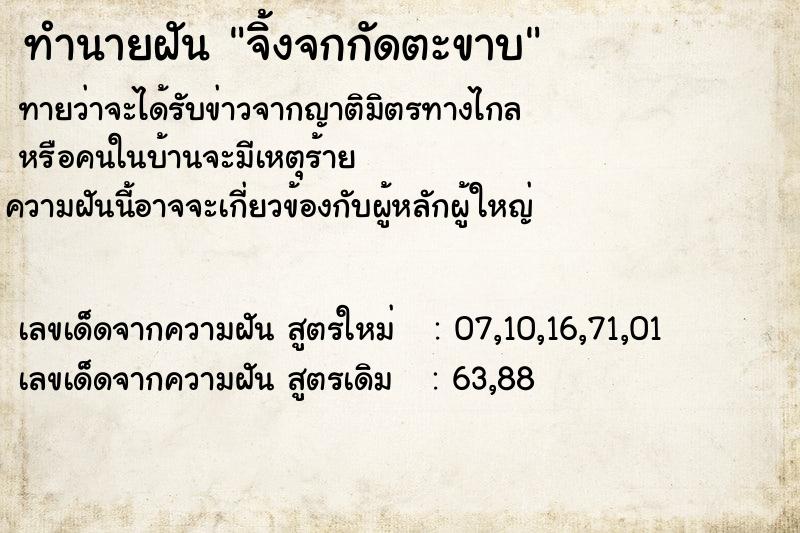 ทำนายฝัน จิ้งจกกัดตะขาบ