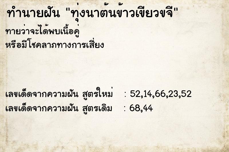 ทำนายฝัน ทุ่งนาต้นข้าวเขียวขจี