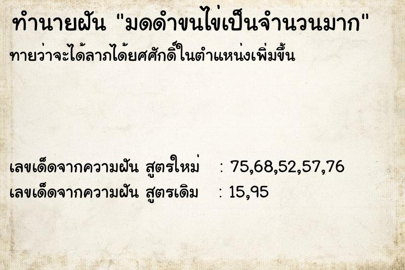 ทำนายฝัน มดดำขนไข่เป็นจำนวนมาก