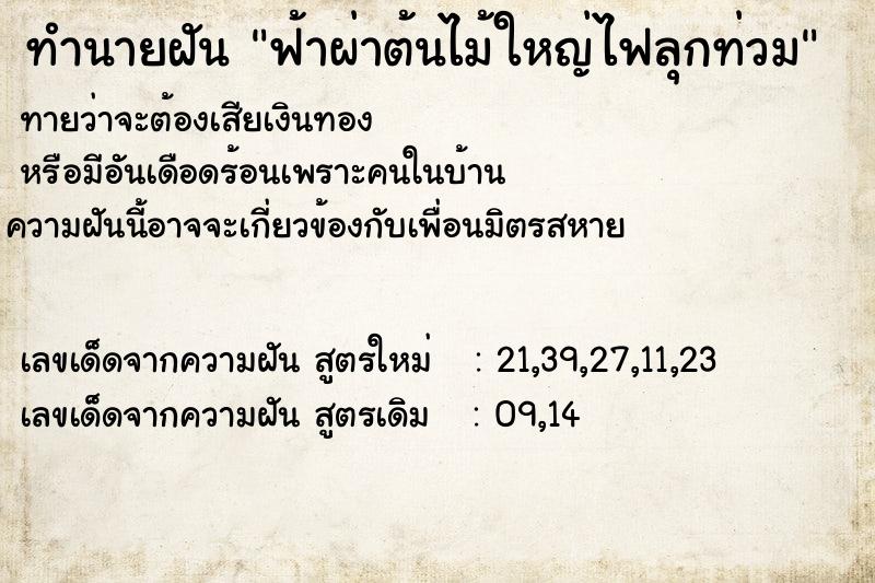 ทำนายฝัน ฟ้าผ่าต้นไม้ใหญ่ไฟลุกท่วม