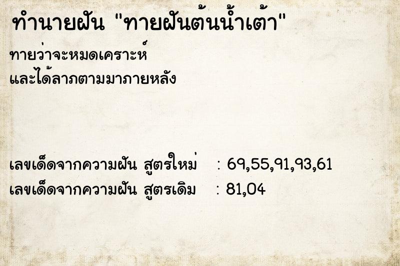 ทำนายฝัน ทายฝันต้นน้ำเต้า