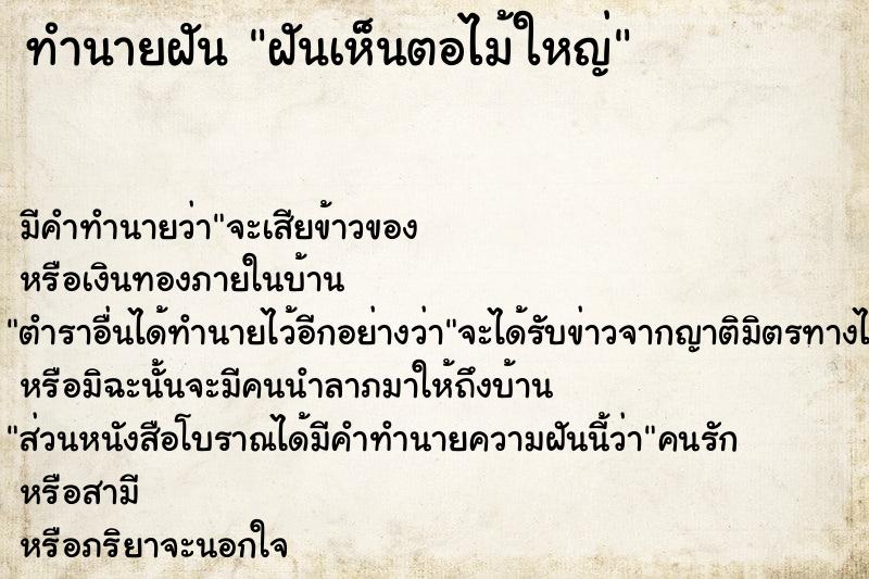 ทำนายฝัน ฝันเห็นตอไม้ใหญ่