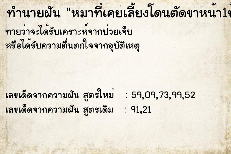 ทำนายฝัน หมาที่เคยเลี้ยงโดนตัดขาหน้า1ข้างขาหลังขาด1ข้าง