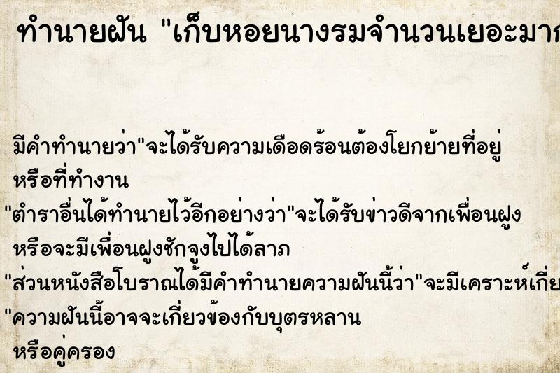 ทำนายฝัน เก็บหอยนางรมจำนวนเยอะมาก