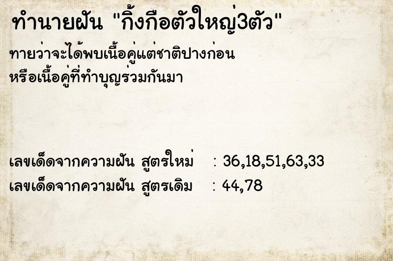 ทำนายฝัน กิ้งกือตัวใหญ่3ตัว