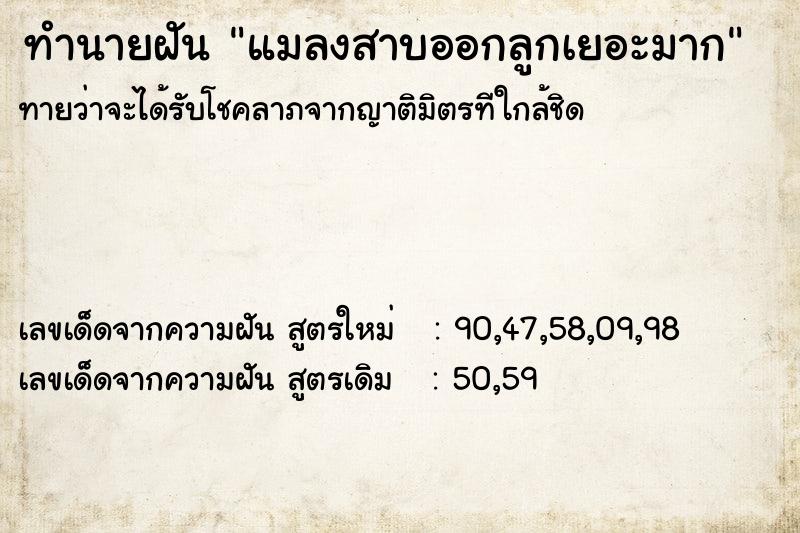 ทำนายฝัน แมลงสาบออกลูกเยอะมาก