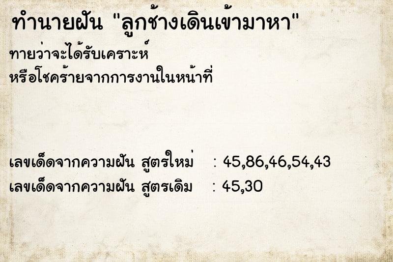 ทำนายฝัน ลูกช้างเดินเข้ามาหา