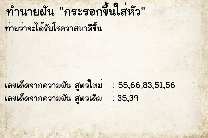 ทำนายฝัน กระรอกขึ้นใส่หัว