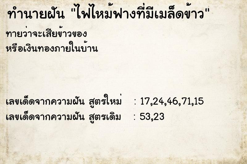 ทำนายฝัน ไฟไหม้ฟางที่มีเมล็ดข้าว