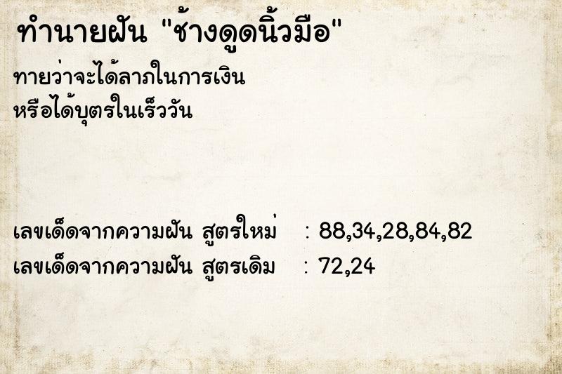 ทำนายฝัน ช้างดูดนิ้วมือ