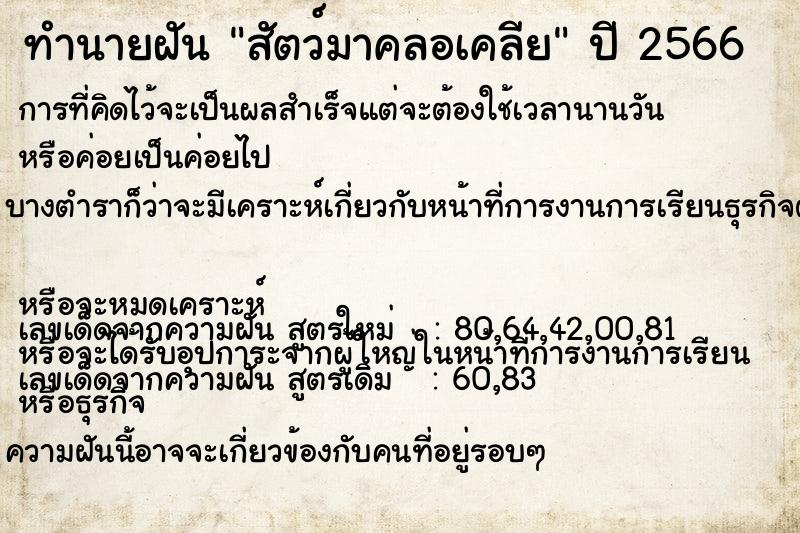 ทำนายฝัน สัตว์มาคลอเคลีย