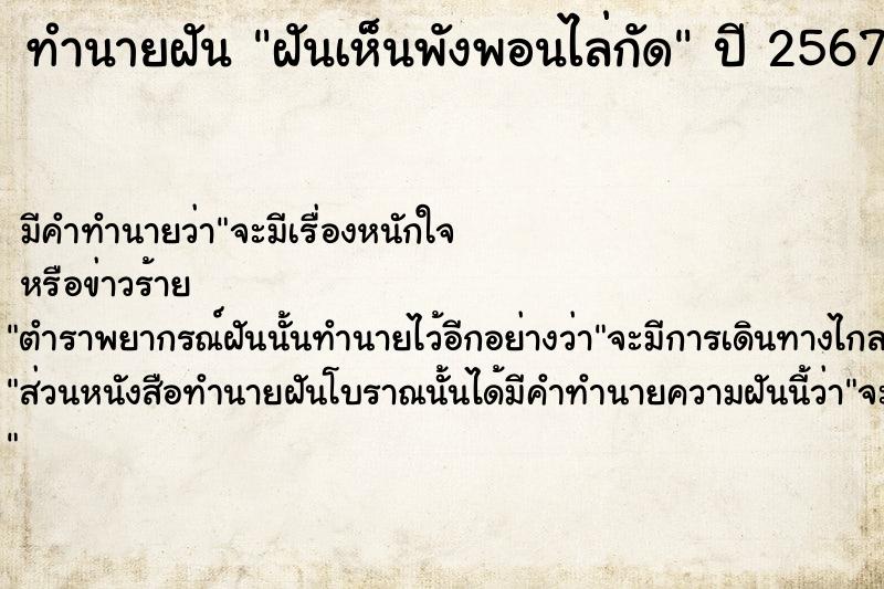 ทำนายฝัน ฝันเห็นพังพอนไล่กัด