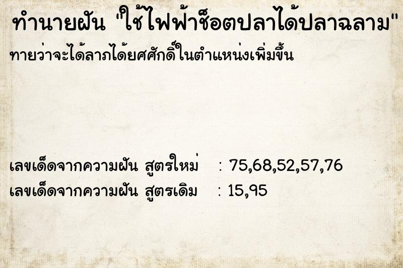 ทำนายฝัน ใช้ไฟฟ้าช็อตปลาได้ปลาฉลาม