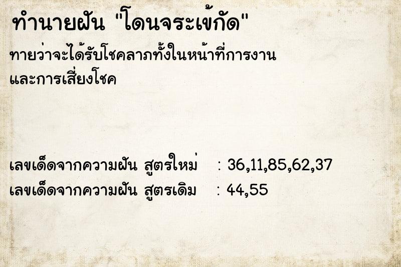 ทำนายฝัน โดนจระเข้กัด