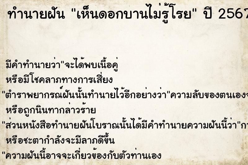 ทำนายฝัน เห็นดอกบานไม่รู้โรย  เลขนำโชค 