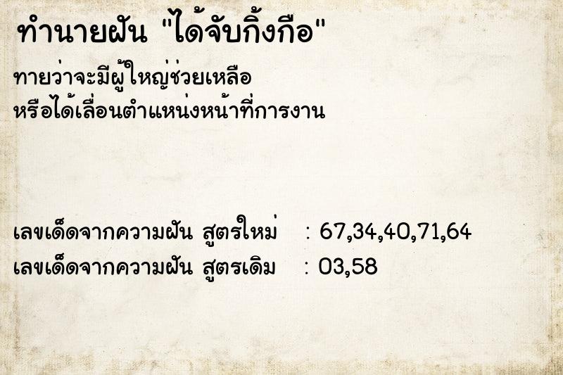 ทำนายฝัน ได้จับกิ้งกือ  เลขนำโชค 