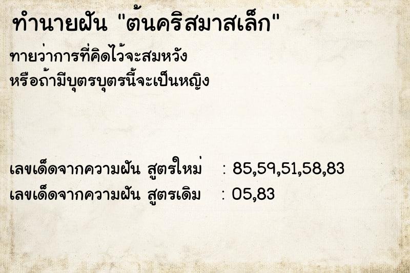 ทำนายฝัน ต้นคริสมาสเล็ก