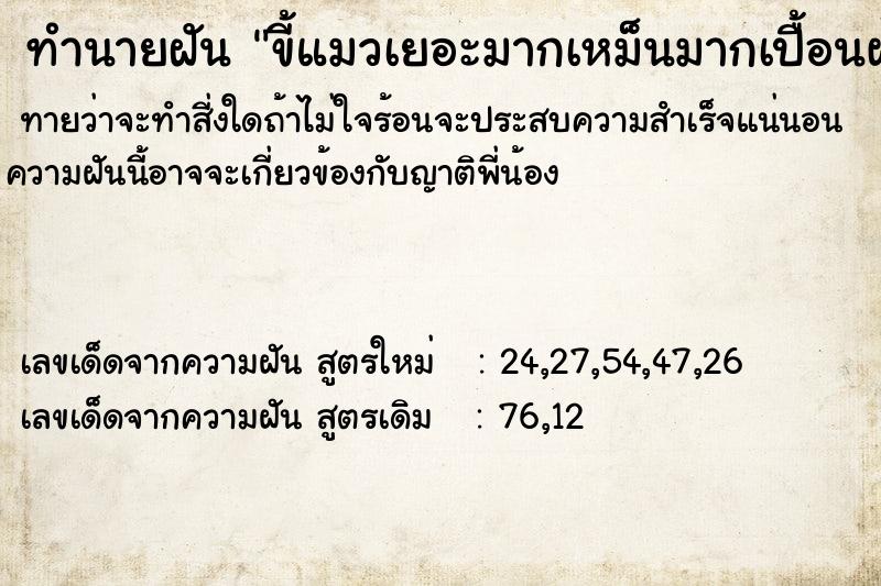 ทำนายฝัน ขี้แมวเยอะมากเหม็นมากเปื้อนผ้าห่มไปหมด