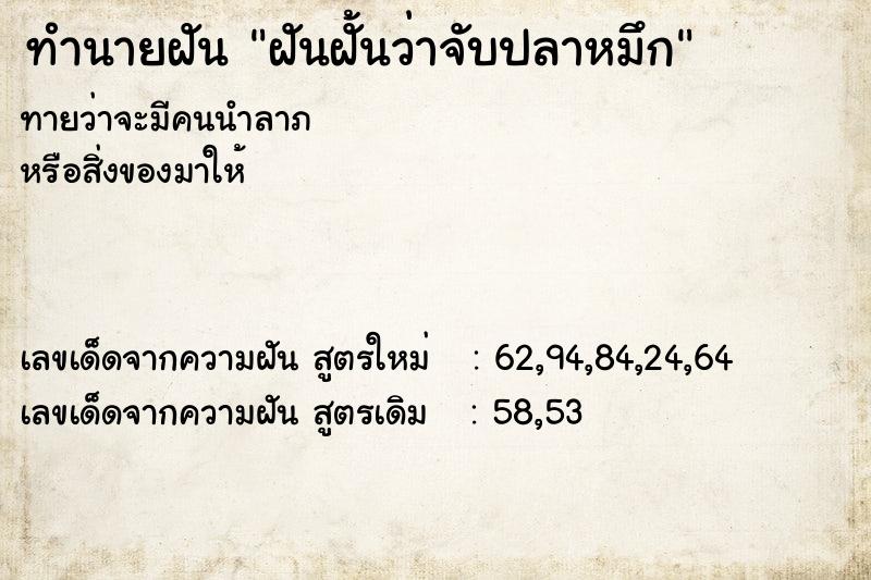 ทำนายฝัน ฝันฝั้นว่าจับปลาหมึก