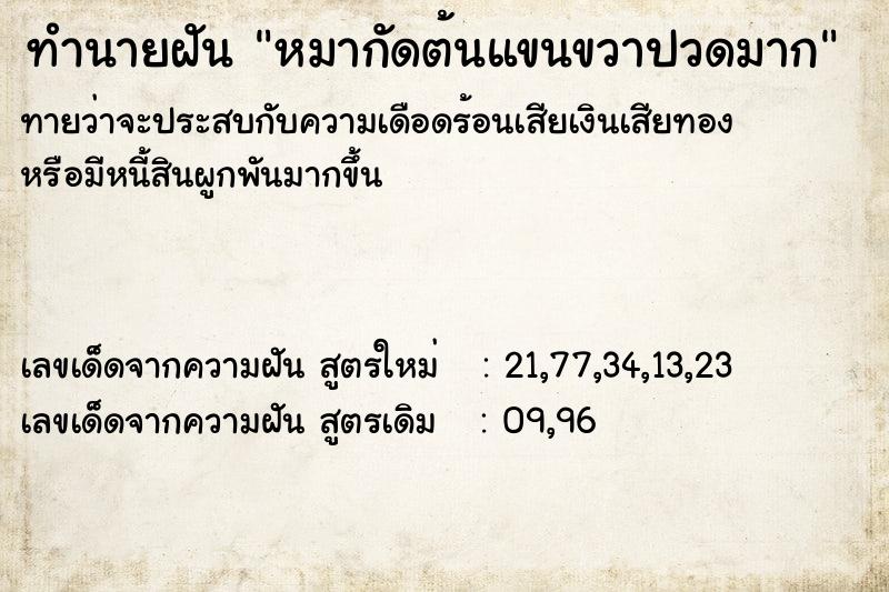 ทำนายฝัน หมากัดต้นแขนขวาปวดมาก