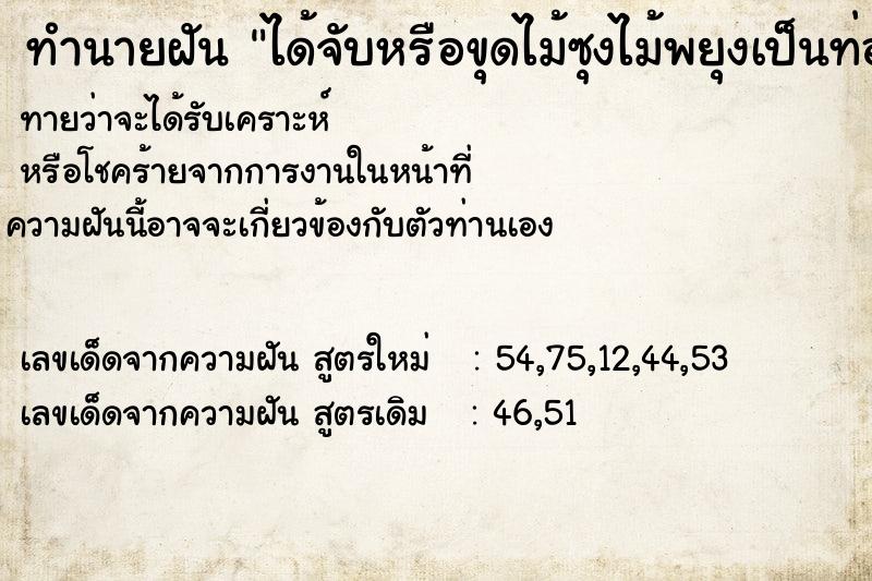 ทำนายฝัน ได้จับหรือขุดไม้ซุงไม้พยุงเป็นท่อน