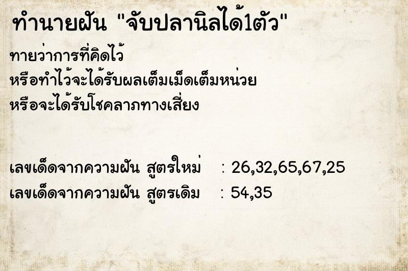 ทำนายฝัน จับปลานิลได้1ตัว