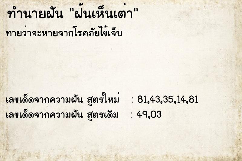 ทำนายฝัน ฝ้นเห็นเต่า