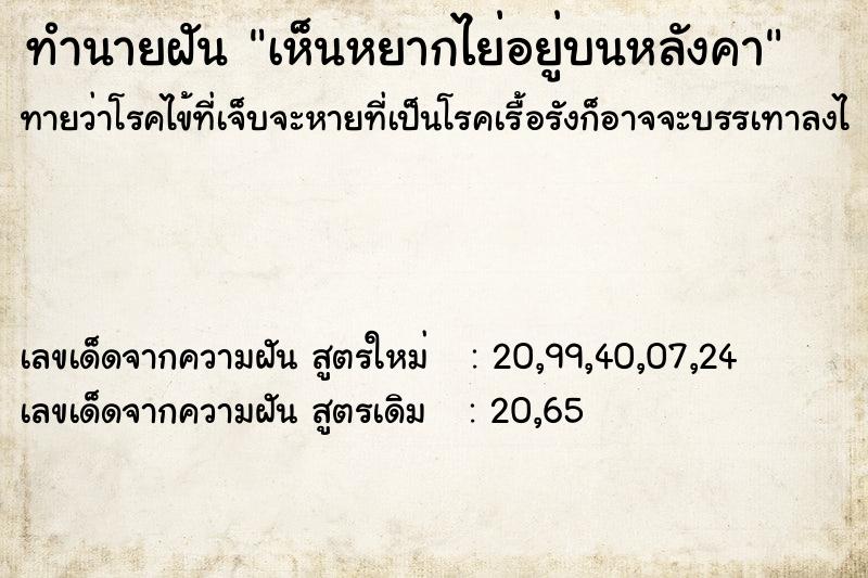 ทำนายฝัน เห็นหยากไย่อยู่บนหลังคา  เลขนำโชค 