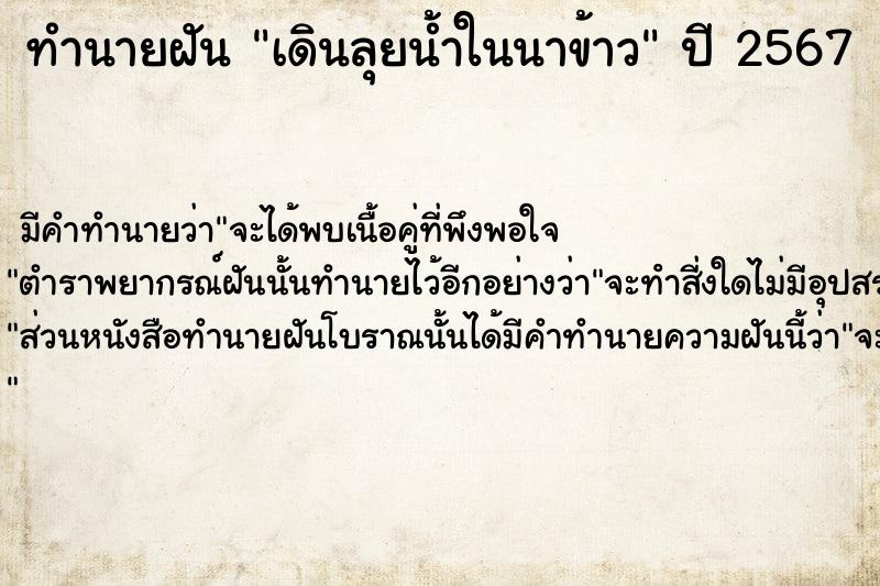 ทำนายฝัน #ทำนายฝัน #เดินลุยน้ำในนาข้าว  เลขนำโชค 