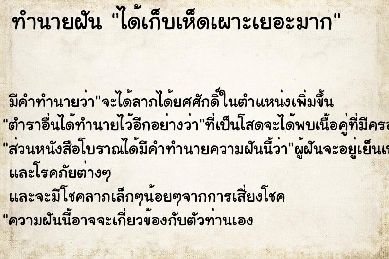 ทำนายฝัน ได้เก็บเห็ดเผาะเยอะมาก