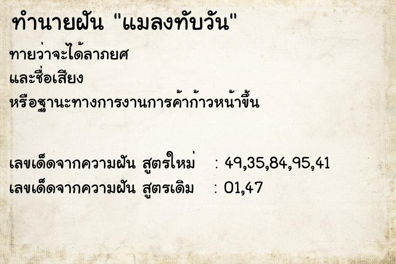 ทำนายฝัน แมลงทับวันพุธ  เลขนำโชค 