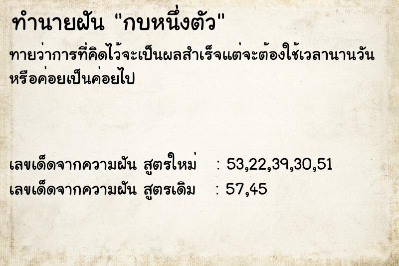 ทำนายฝัน กบหนึ่งตัว