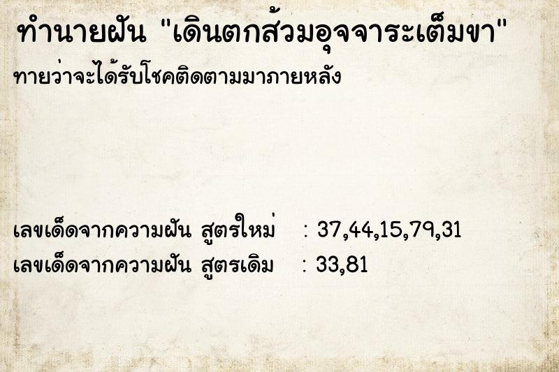 ทำนายฝัน เดินตกส้วมอุจจาระเต็มขา