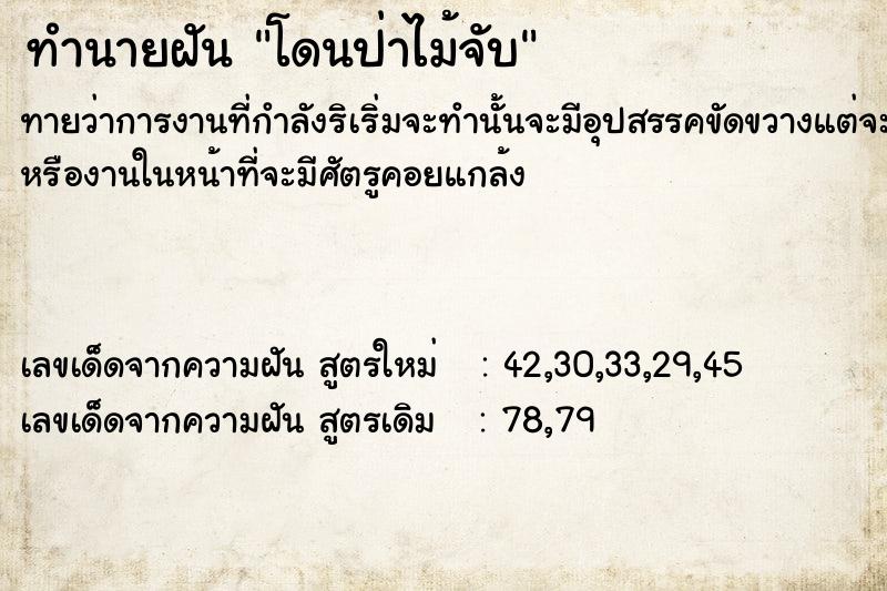 ทำนายฝัน โดนป่าไม้จับ