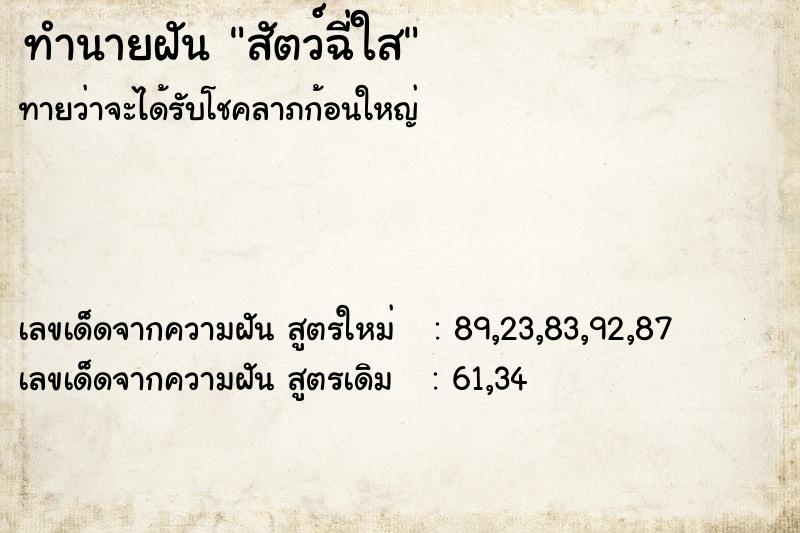 ทำนายฝัน สัตว์ฉี่ใส