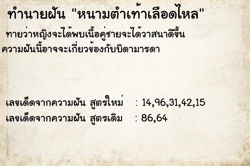 ทำนายฝัน หนามตำเท้าเลือดไหล  เลขนำโชค 