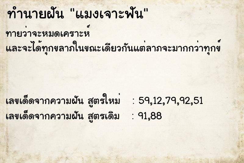 ทำนายฝัน แมงเจาะฟัน