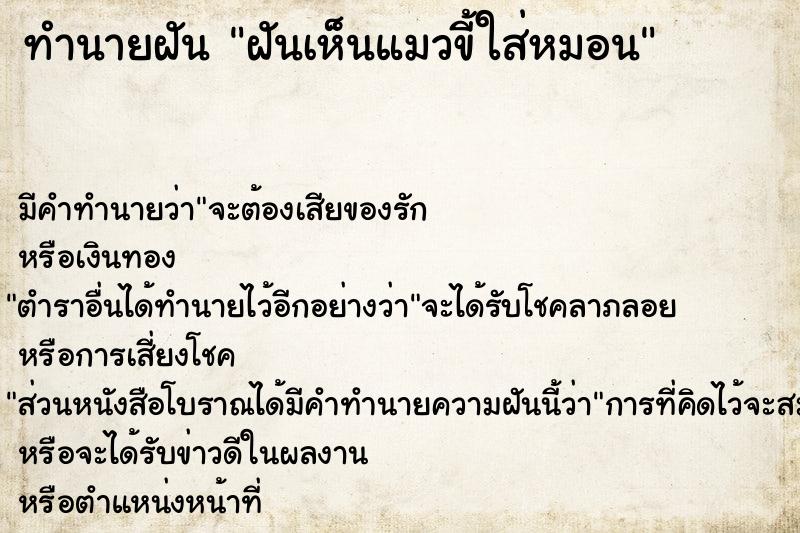 ทำนายฝัน ฝันเห็นแมวขี้ใส่หมอน