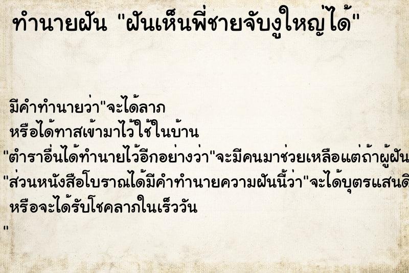 ทำนายฝัน ฝันเห็นพี่ชายจับงูใหญ่ได้