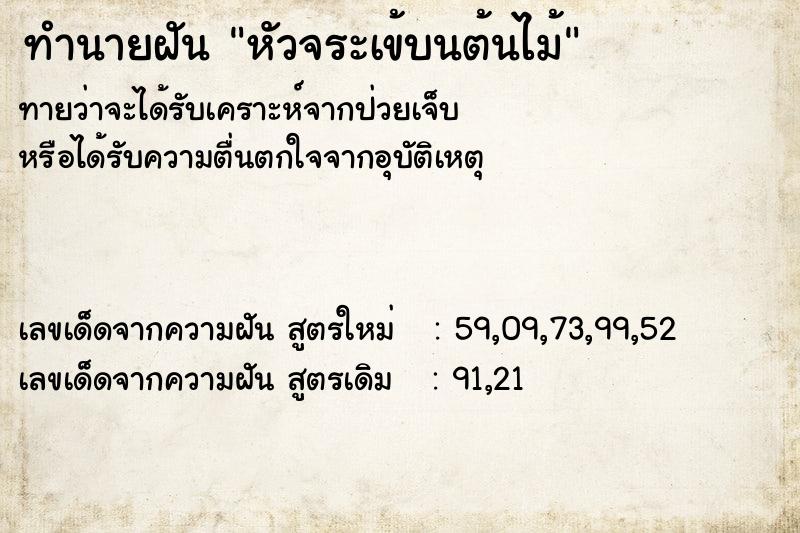 ทำนายฝัน หัวจระเข้บนต้นไม้